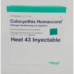 COLOCYNTHIS HOMACOORD